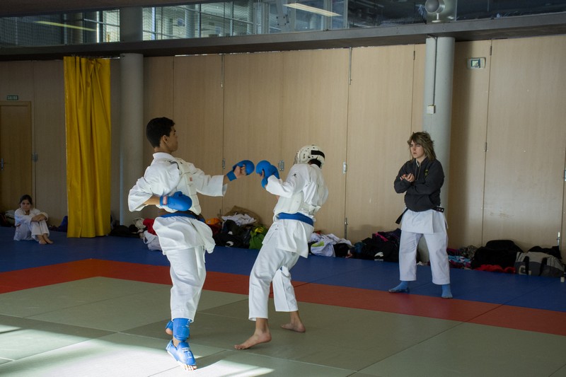 Curso T&eacute;cnico de Kata y Kumite en Navidad